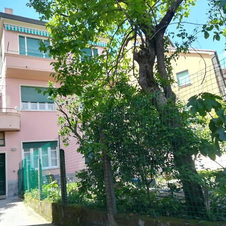 蒙特罗索阿尔马雷Casa Delle Arance公寓 外观 照片