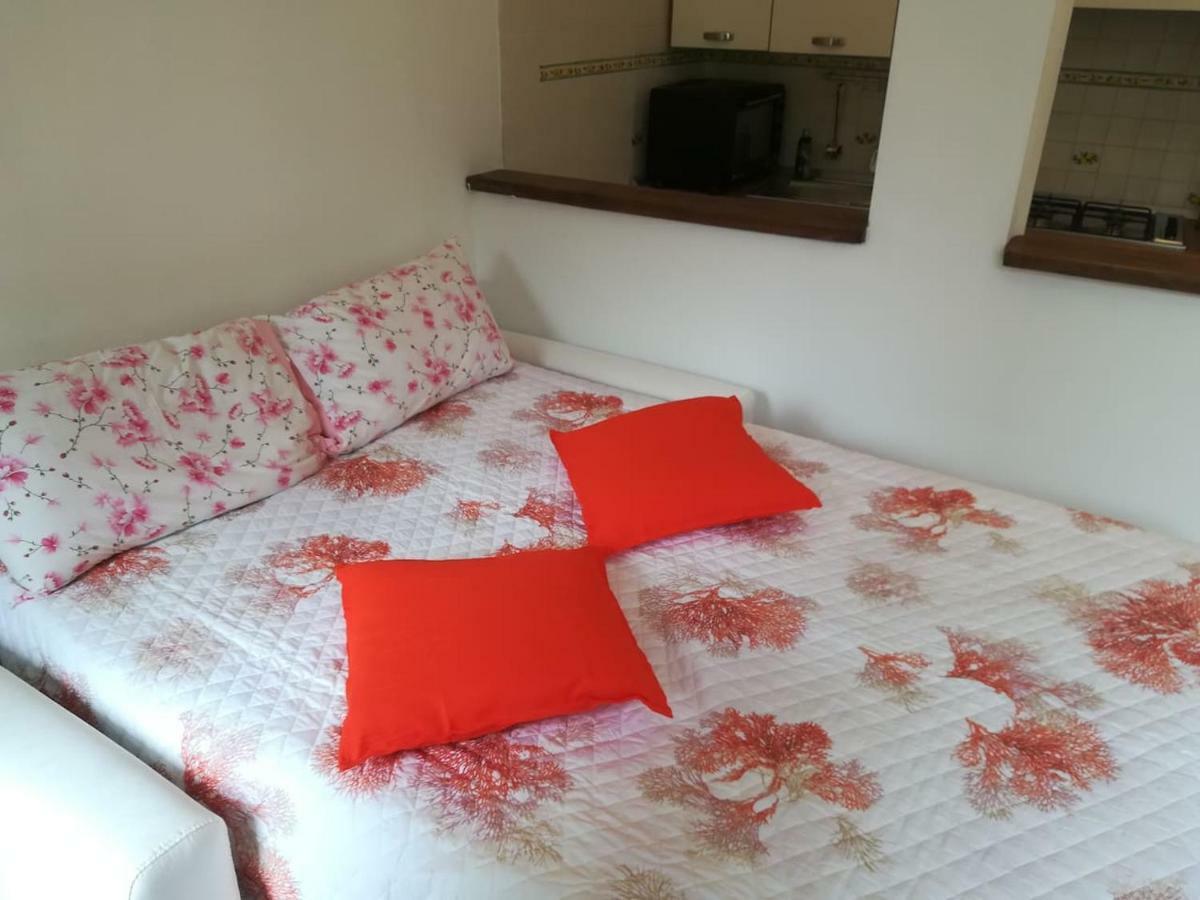 蒙特罗索阿尔马雷Casa Delle Arance公寓 外观 照片