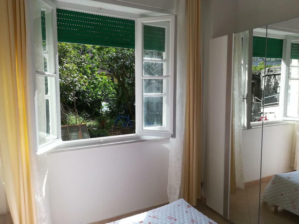 蒙特罗索阿尔马雷Casa Delle Arance公寓 外观 照片