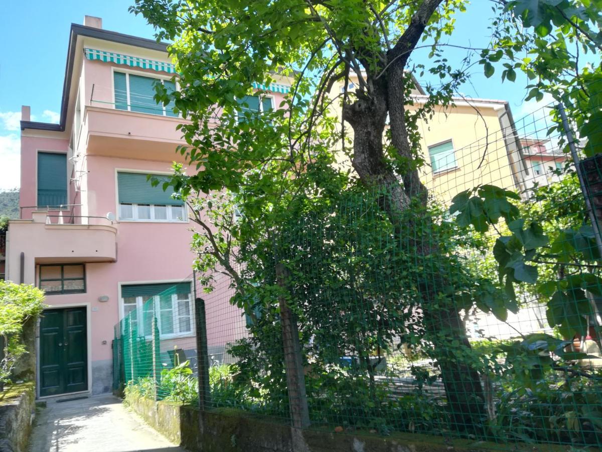 蒙特罗索阿尔马雷Casa Delle Arance公寓 外观 照片